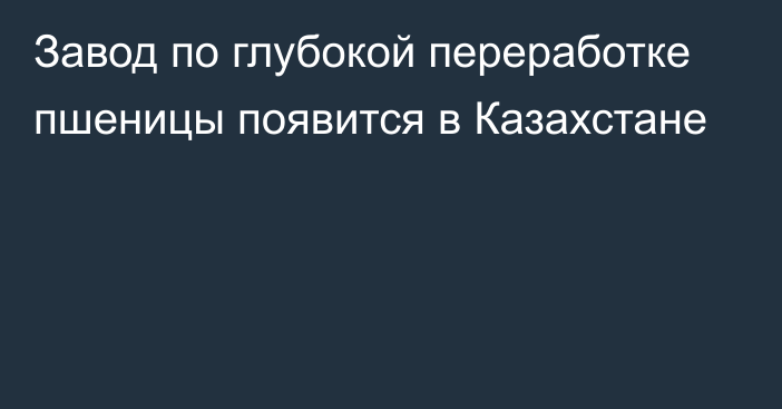 Завод по глубокой переработке пшеницы появится в Казахстане