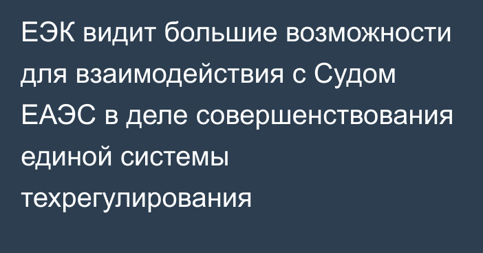 ЕЭК видит большие возможности для взаимодействия с Судом ЕАЭС в деле совершенствования единой системы техрегулирования