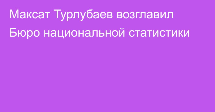 Максат Турлубаев возглавил Бюро национальной статистики