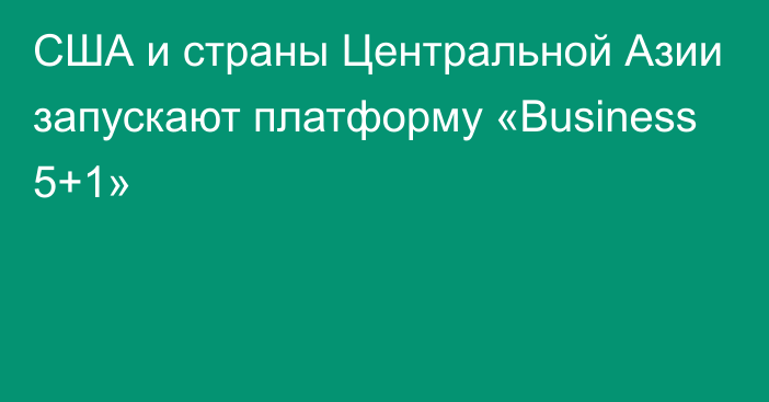 США и страны Центральной Азии запускают платформу «Business 5+1»