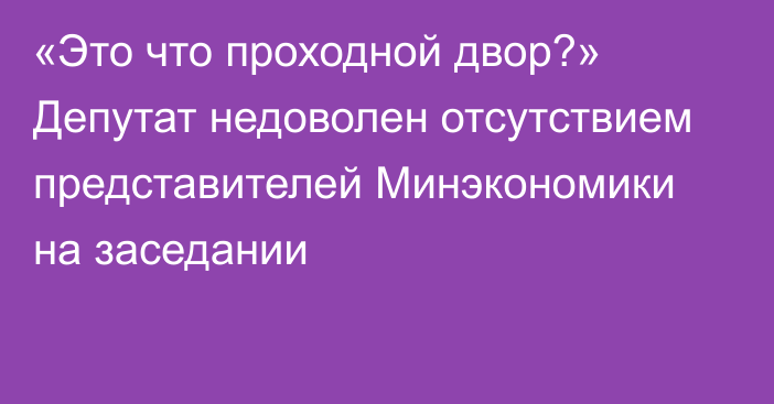 «Это что проходной двор?» Депутат недоволен отсутствием представителей Минэкономики на заседании