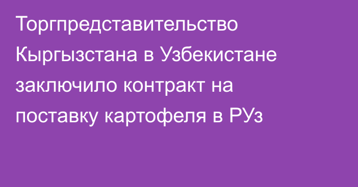 Торгпредставительство Кыргызстана в Узбекистане заключило контракт на поставку картофеля в РУз