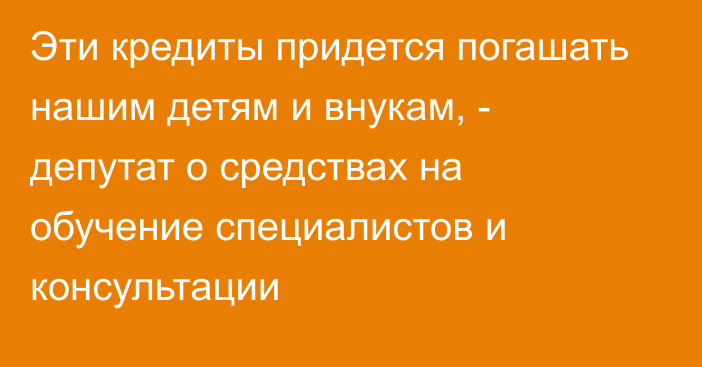 Эти кредиты придется погашать нашим детям и внукам, - депутат о средствах на обучение специалистов и консультации