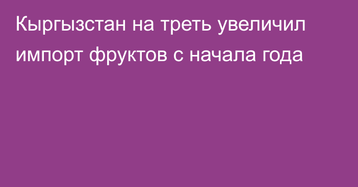 Кыргызстан на треть увеличил импорт фруктов с начала года