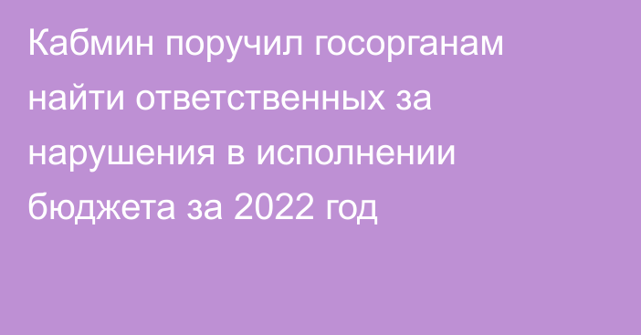 Кабмин поручил госорганам найти ответственных за нарушения в исполнении бюджета за 2022 год