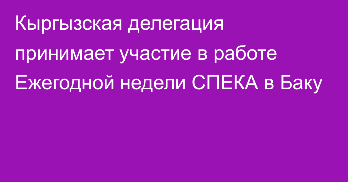 Кыргызская делегация принимает участие в работе Ежегодной недели СПЕКА в Баку