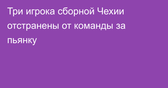 Три игрока сборной Чехии отстранены от команды за пьянку