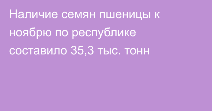 Наличие семян пшеницы к ноябрю по республике составило 35,3 тыс. тонн