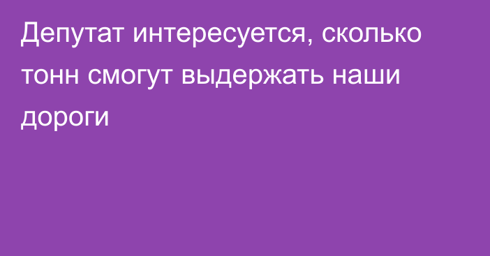 Депутат интересуется, сколько тонн смогут выдержать наши дороги