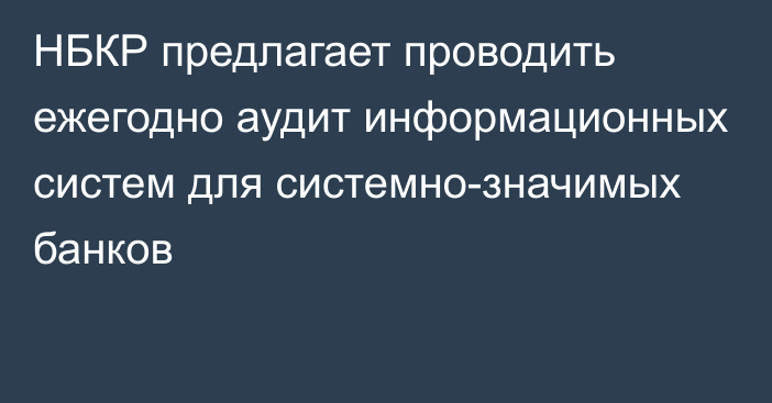 НБКР предлагает проводить ежегодно аудит информационных систем для системно-значимых банков