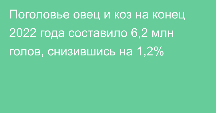 Поголовье овец и коз на конец 2022 года составило 6,2 млн голов, снизившись на 1,2%