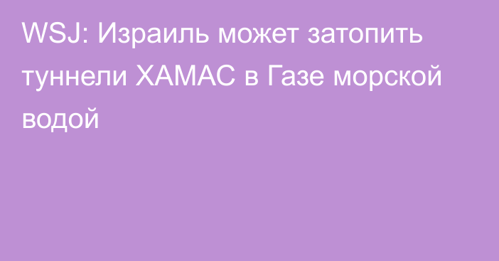 WSJ: Израиль может затопить туннели ХАМАС в Газе морской водой