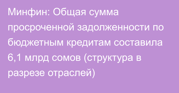 Минфин: Общая сумма просроченной задолженности по бюджетным кредитам составила 6,1 млрд сомов (структура в разрезе отраслей)