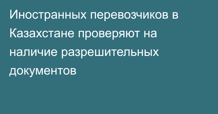 Иностранных перевозчиков в Казахстане проверяют на наличие разрешительных документов