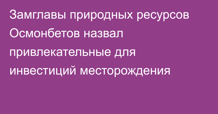 Замглавы природных ресурсов Осмонбетов назвал привлекательные для инвестиций месторождения