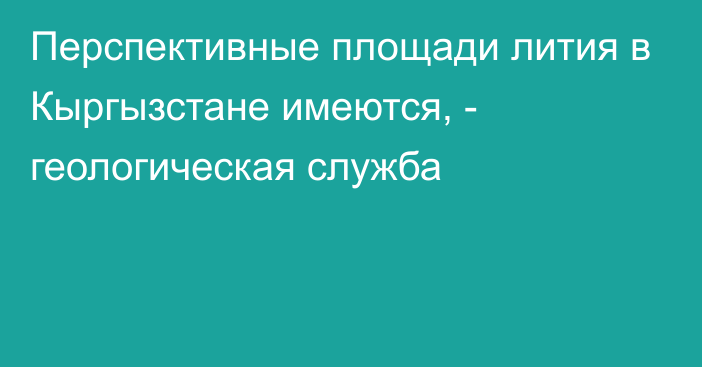 Перспективные площади лития в Кыргызстане имеются, - геологическая служба