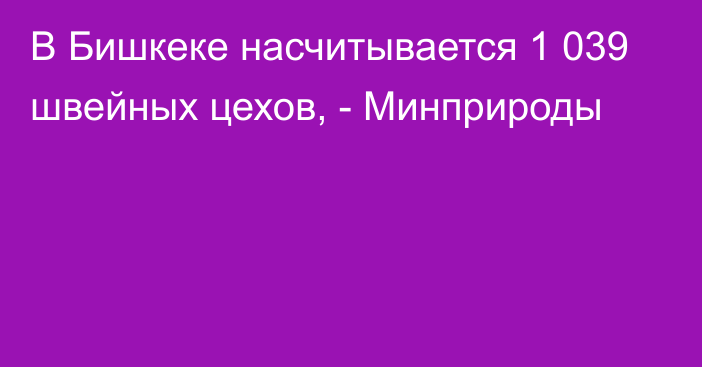 В Бишкеке насчитывается 1 039 швейных цехов, - Минприроды