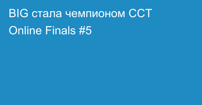 BIG стала чемпионом CCT Online Finals #5