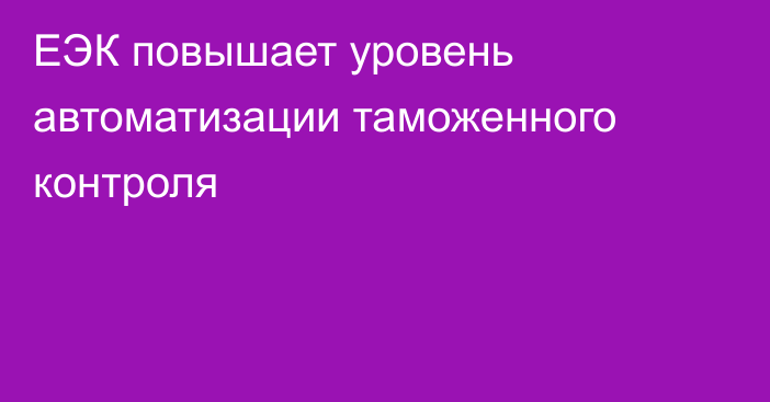 ЕЭК повышает уровень автоматизации таможенного контроля