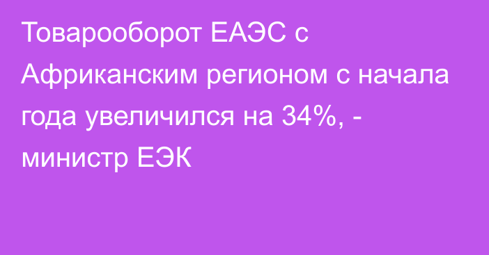 Товарооборот ЕАЭС с Африканским регионом с начала года увеличился на 34%, - министр ЕЭК