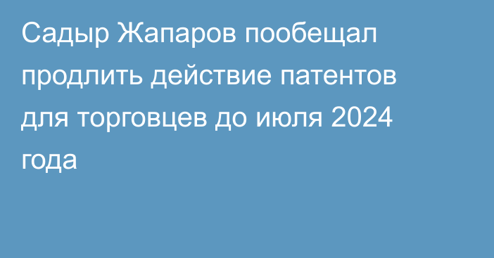 Садыр Жапаров пообещал продлить действие патентов для торговцев до июля 2024 года