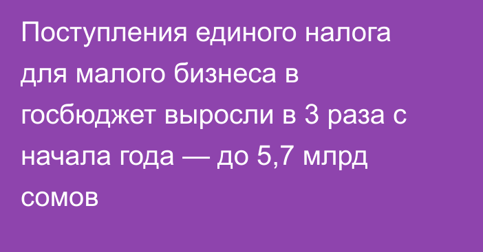 Поступления единого налога для малого бизнеса в госбюджет выросли в 3 раза с начала года — до 5,7 млрд сомов