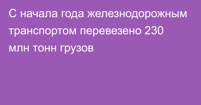 С начала года железнодорожным транспортом перевезено 230 млн тонн грузов