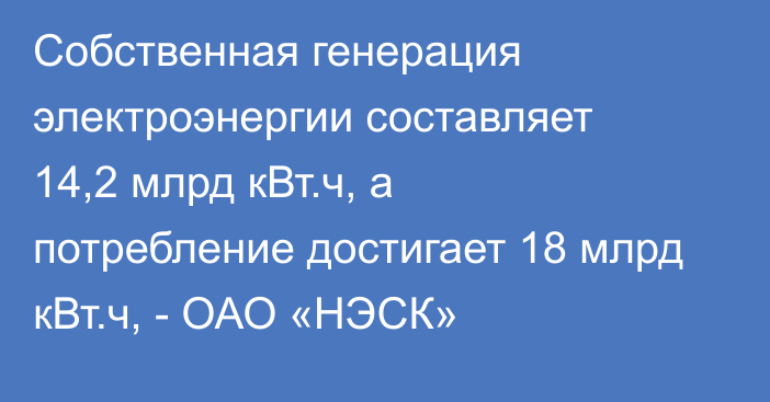 Собственная генерация электроэнергии составляет 14,2 млрд кВт.ч, а потребление достигает 18 млрд кВт.ч, - ОАО «НЭСК»