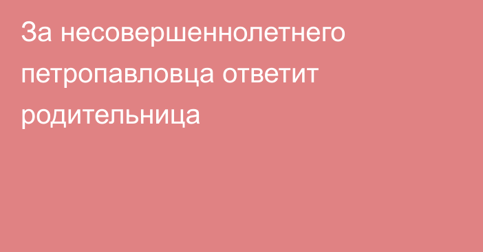 За несовершеннолетнего петропавловца ответит родительница