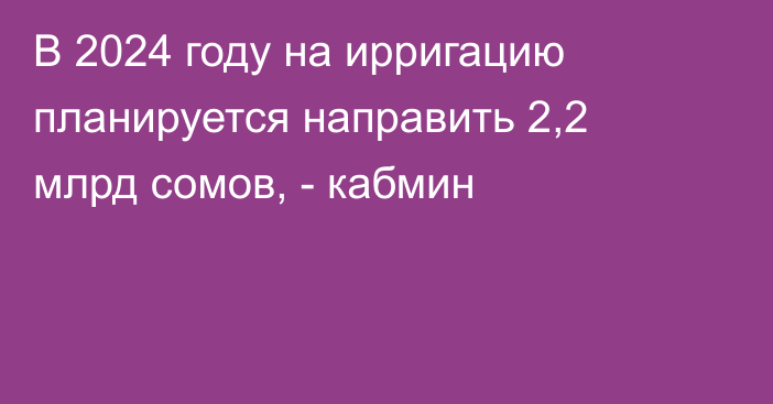 В 2024 году на ирригацию планируется направить 2,2 млрд сомов, - кабмин