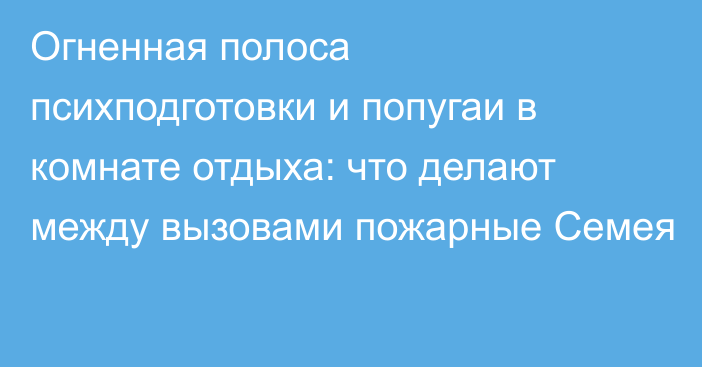 Огненная полоса психподготовки и попугаи в комнате отдыха: что делают между вызовами пожарные Семея