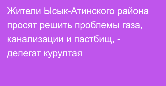 Жители Ысык-Атинского района просят решить проблемы газа, канализации и пастбищ, - делегат курултая