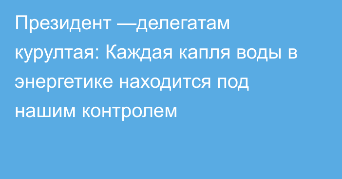 Президент —делегатам курултая: Каждая капля воды в энергетике находится под нашим контролем