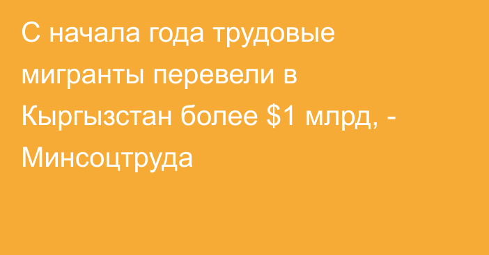 С начала года  трудовые мигранты перевели в Кыргызстан более $1 млрд, -  Минсоцтруда