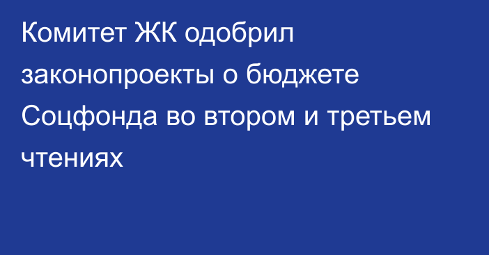 Комитет ЖК одобрил законопроекты о бюджете Соцфонда во втором и третьем чтениях