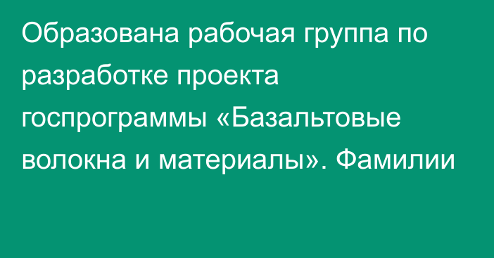 Образована рабочая группа по разработке проекта госпрограммы «Базальтовые волокна и материалы». Фамилии