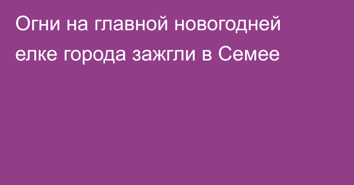 Огни на главной новогодней елке города зажгли в Семее