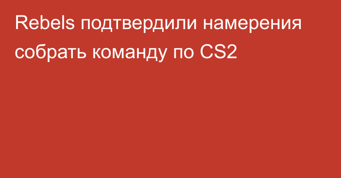 Rebels подтвердили намерения собрать команду по CS2