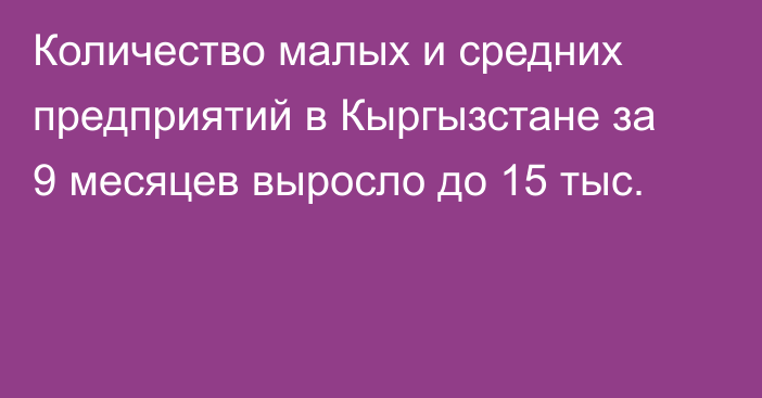 Количество малых и средних предприятий в Кыргызстане за 9 месяцев выросло до 15 тыс.