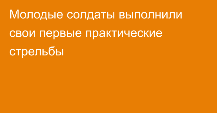 Молодые солдаты выполнили свои первые практические стрельбы