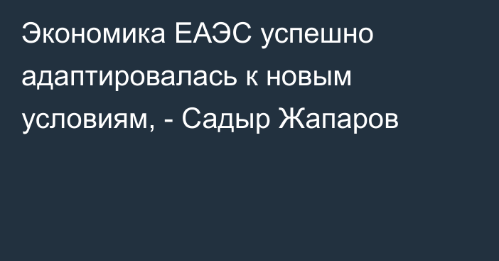 Экономика ЕАЭС успешно адаптировалась к новым условиям, - Садыр Жапаров