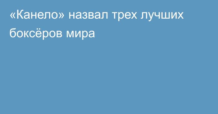 «Канело» назвал трех лучших боксёров мира