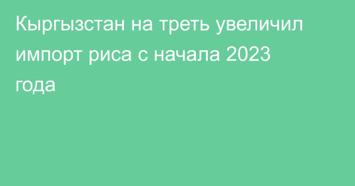 Кыргызстан на треть увеличил импорт риса с начала 2023 года