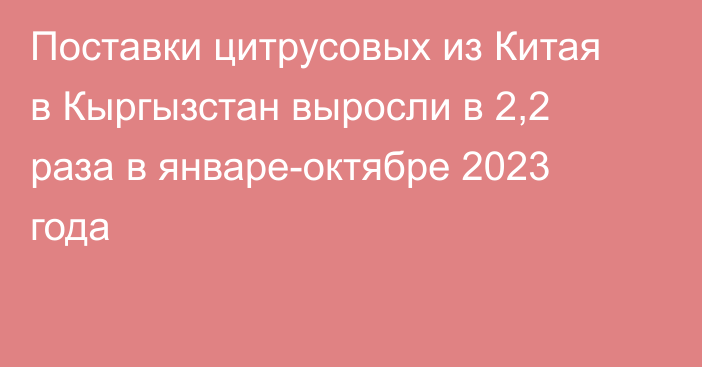 Поставки цитрусовых из Китая в Кыргызстан выросли в 2,2 раза в январе-октябре 2023 года