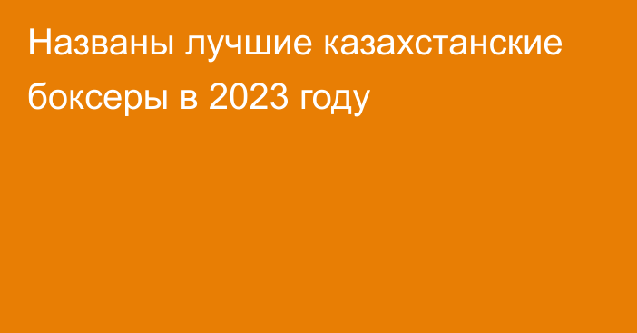 Названы лучшие казахстанские боксеры в 2023 году