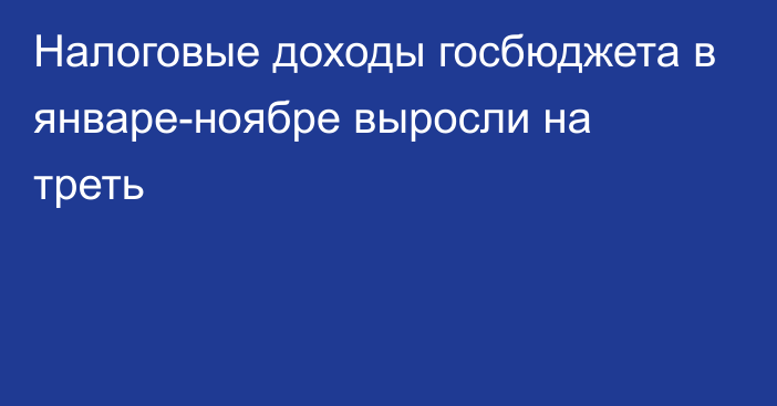 Налоговые доходы госбюджета в январе-ноябре выросли на треть