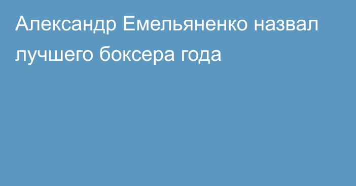 Александр Емельяненко назвал лучшего боксера года