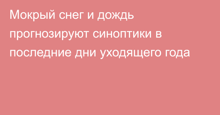 Мокрый снег и дождь прогнозируют синоптики в последние дни уходящего года