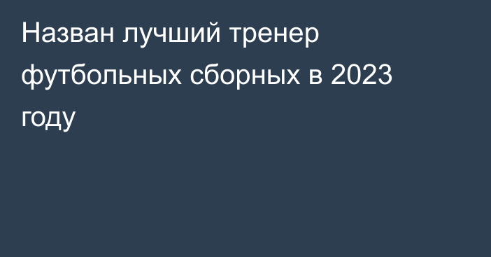 Назван лучший тренер футбольных сборных в 2023 году