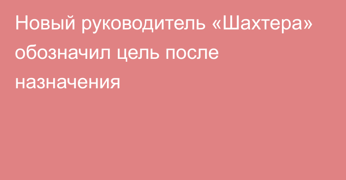 Новый руководитель «Шахтера» обозначил цель после назначения